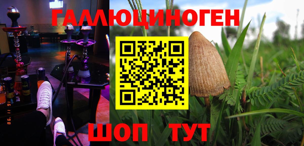 Псилоцибиновые грибы MAGIC MUSHROOMS Гай