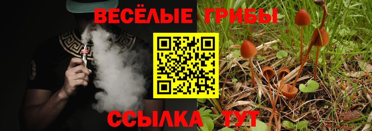 Галлюциногенные грибы MAGIC MUSHROOMS  Вход с VPN  Гай  Псилоцибиновые грибы Magic Shrooms 