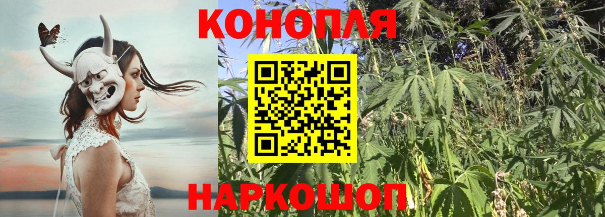 Канабис конопля  Бошки марихуана White Widow  Гай  Шишки марихуана семена  Бошки марихуана семена  Вход с VPN 